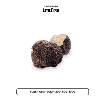 Tuber Aestivum